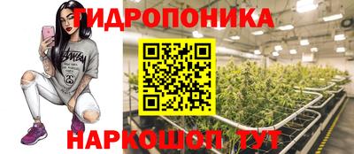 соль ск Канаш