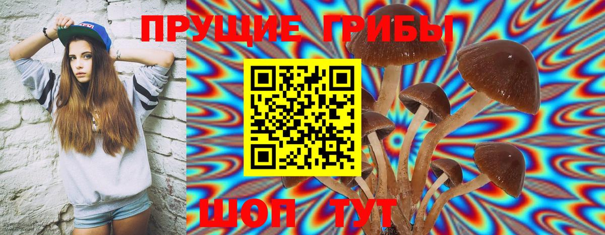 Галлюциногенные грибы Psilocybine cubensis  Галлюциногенные грибы Magic Shrooms  Вход с VPN  Краснокаменск 